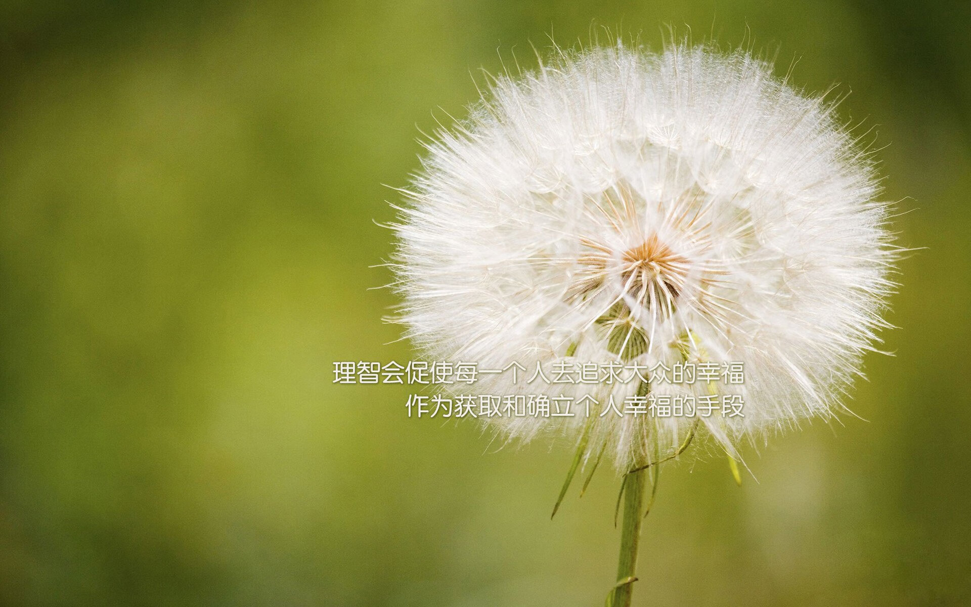 CS2 新秀选手崛起赛季表现亮眼