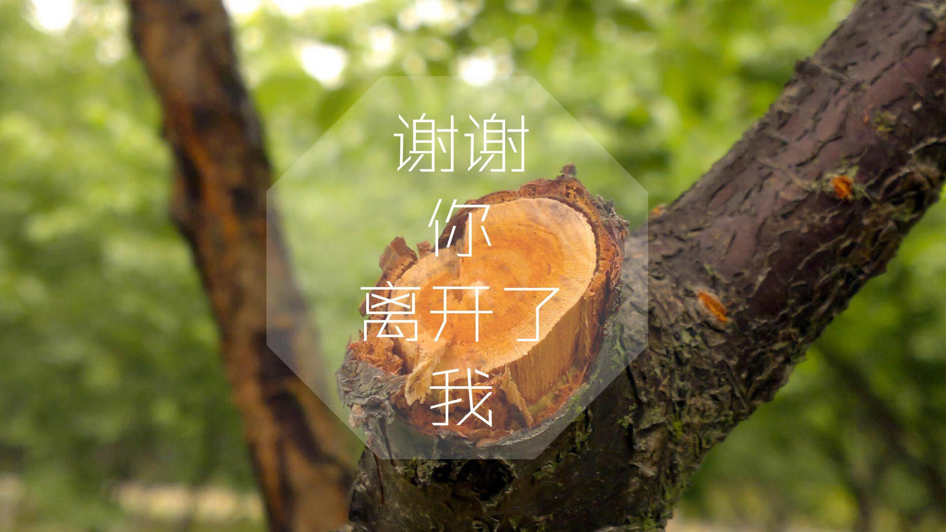 爱游戏中国官方网站平台-“西甲豪门战术调整，场面变化引发关注”，西甲的豪门