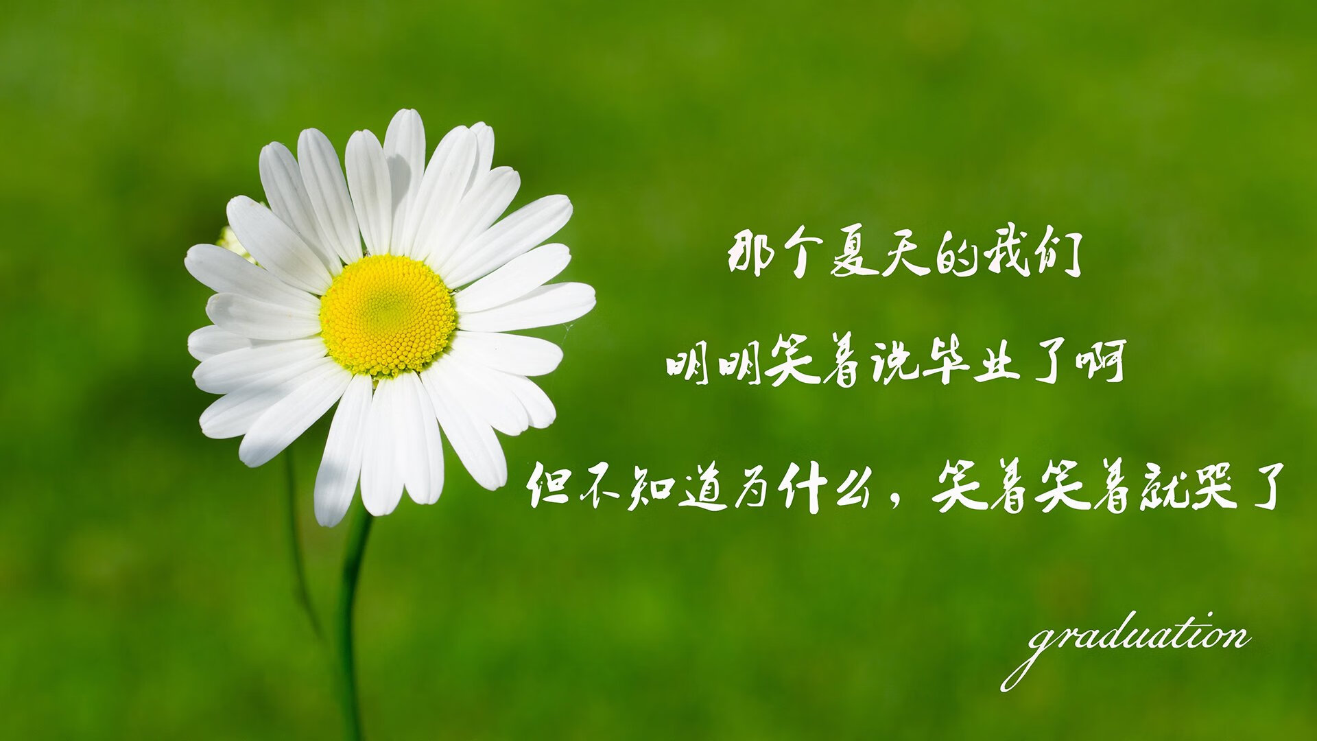 中国足球宣传片获国际大奖，国际影响力提升，中国足球宣传片获国际大奖,国际影响力提升了吗