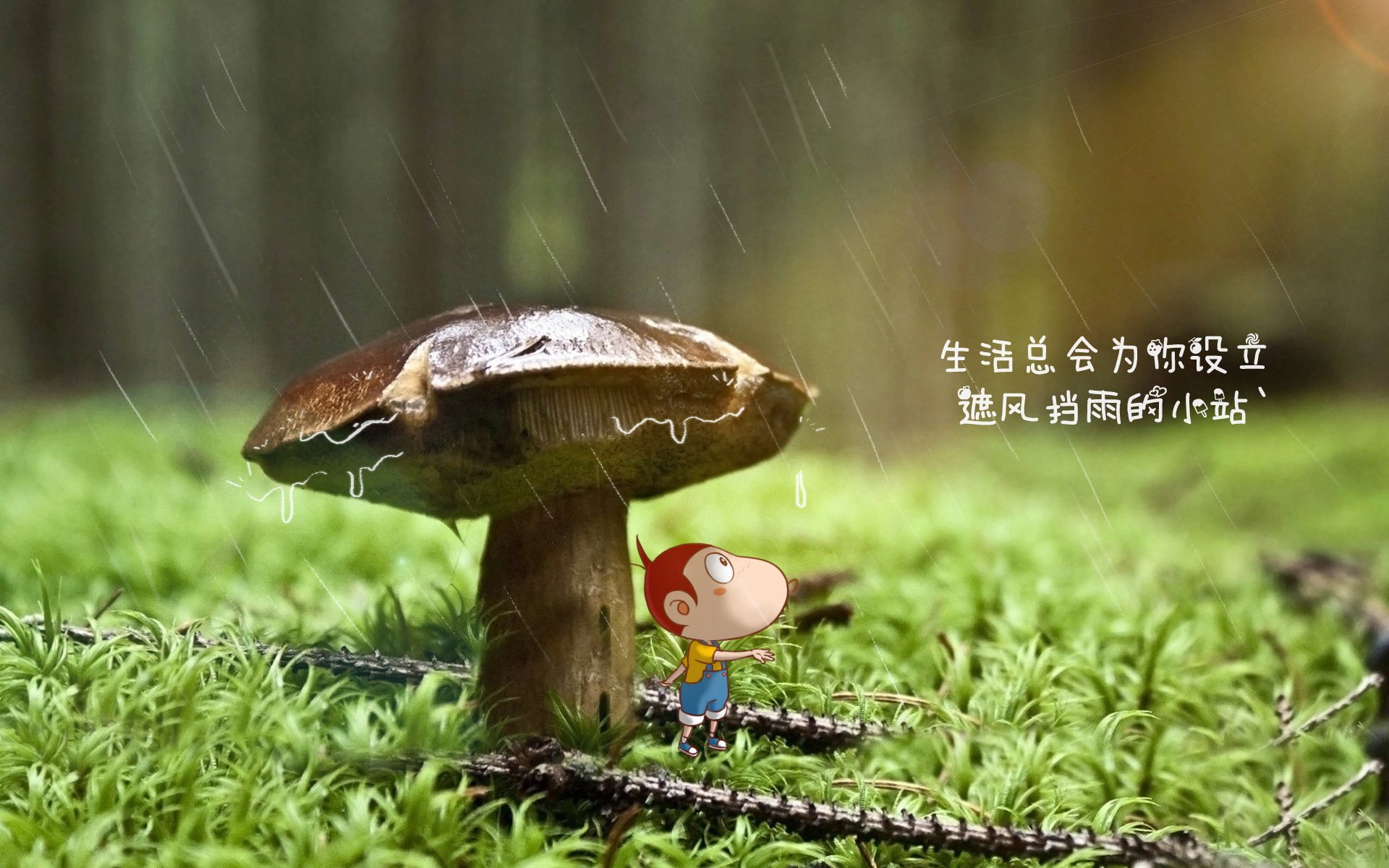 电子竞技世界杯：虚拟世界的真实对抗，电竞世界杯是什么意思