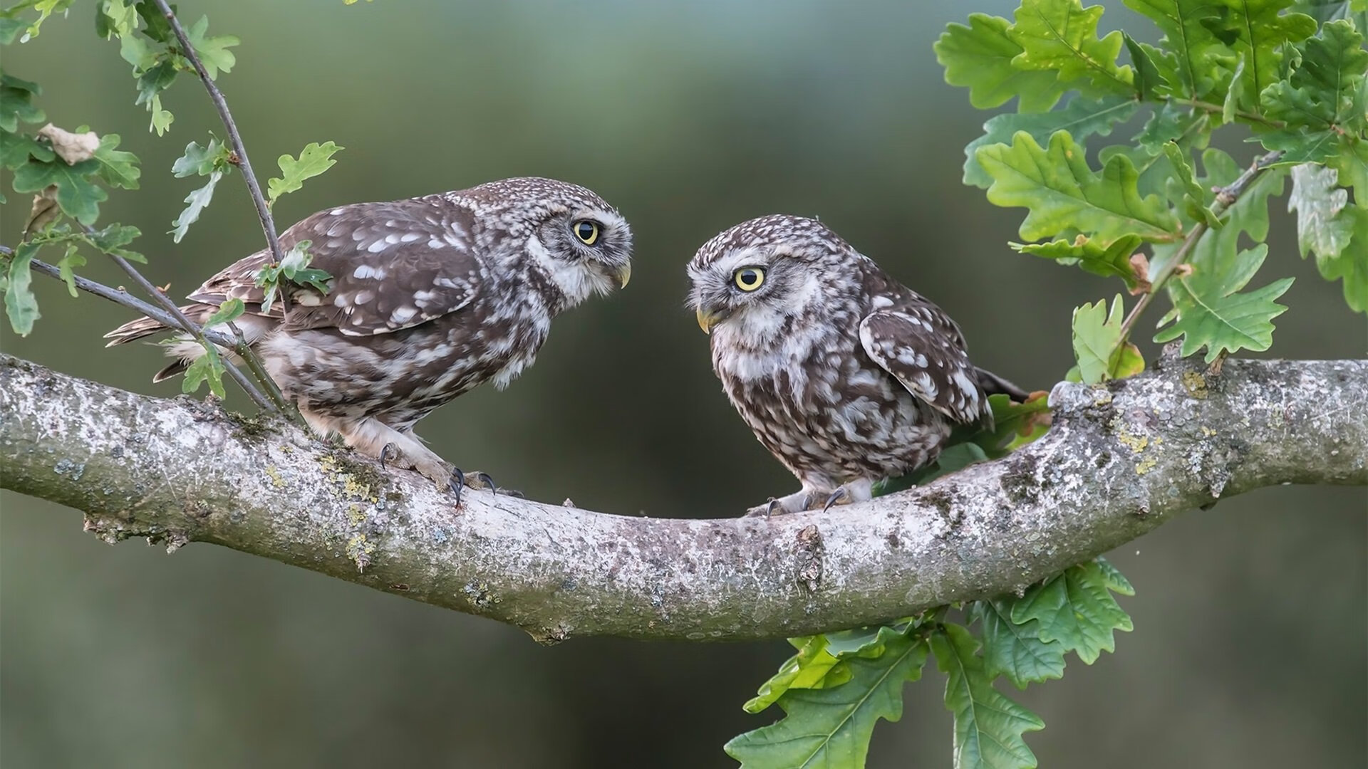 体育产业投资回报分析,体育产业投资有哪些