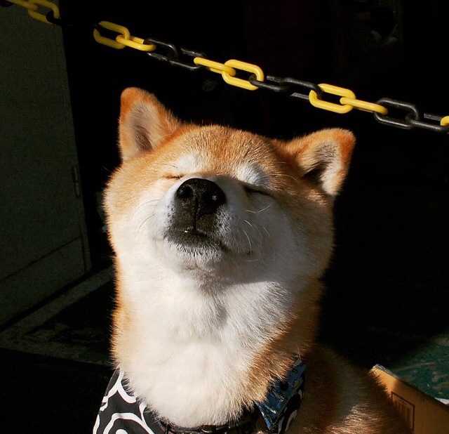 体育赛事票务系统智能升级,体育赛票官方下载