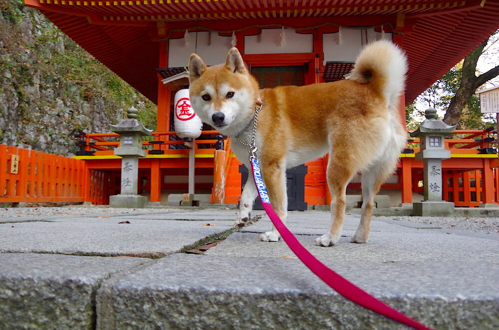 “高新体育中心网球赛:经典对决,再现精彩绝伦的比赛”