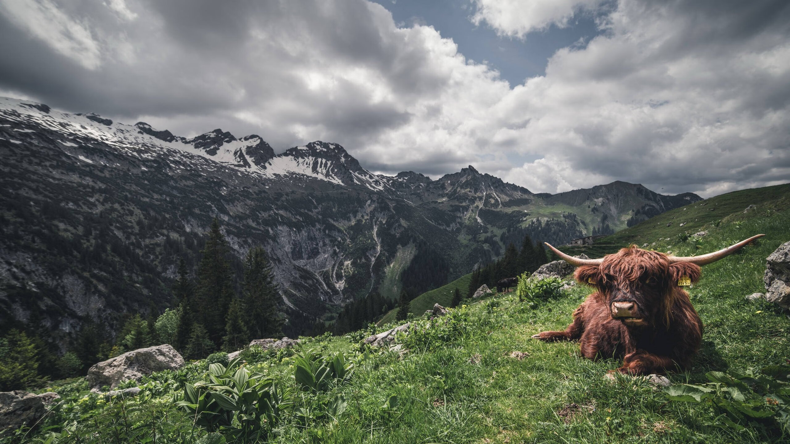 世运火炬传递路线公布,五大地标亮相成都,成都大运会火炬塔