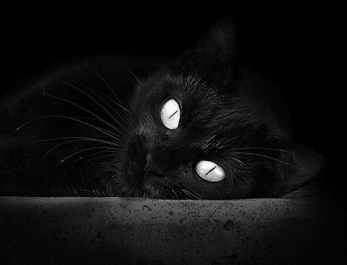 国家队缺少空位三分射手的问题根源何在,nba空位三分