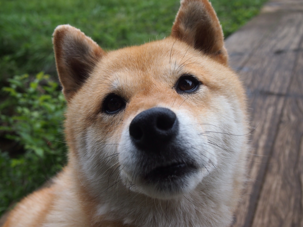 新闻中心拓展多元战略布局,多元化战略视角