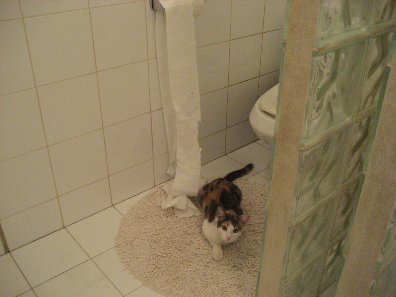 爱游戏综合娱乐-查尔莫斯领军 自由泳无惧挑战，查尔姆斯游泳