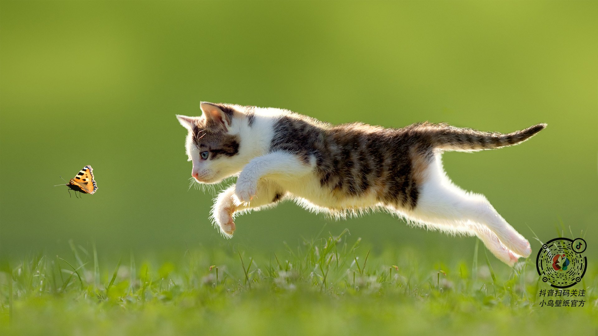 爱游戏官网-澳大利亚队未来发展中的关键：人才选拔与青少年培养，澳大利亚提名职业列表清单