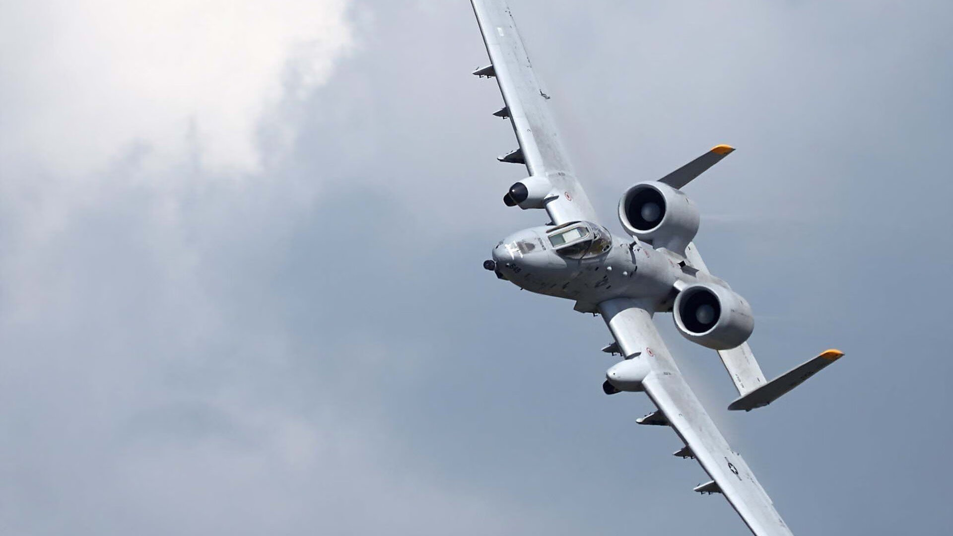 美国队未来展望：加速国内人才培养，提升国际竞争力，美国队展示