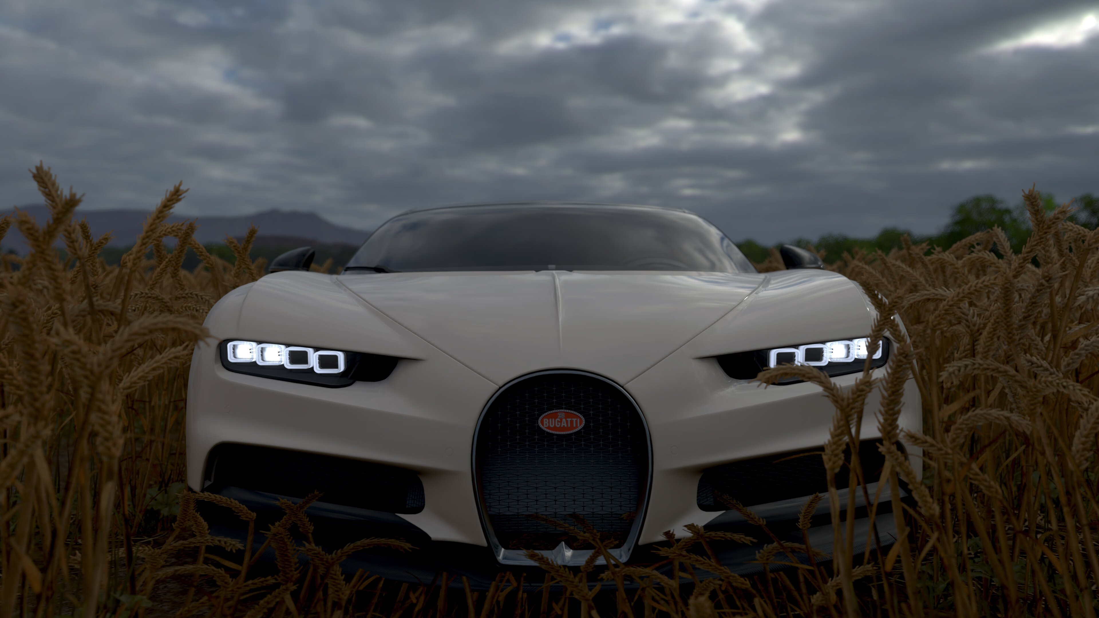 体育新闻中心通报体育场馆数字化改造成效，体育场馆信息化建设