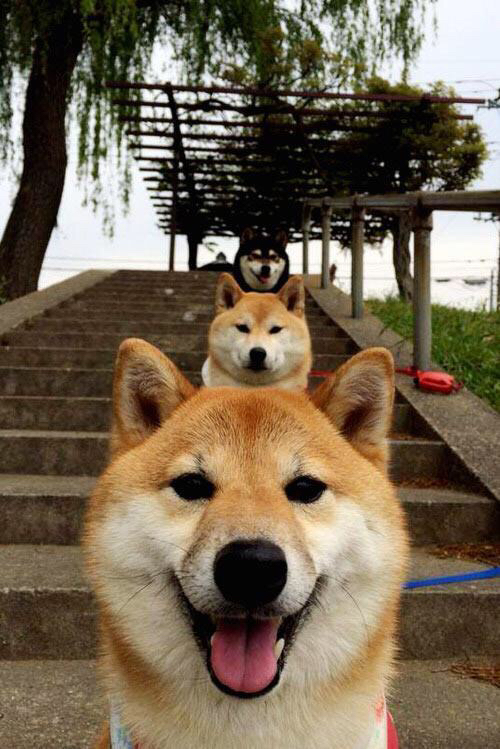 普劳德决赛起跳精准抢占先机，劳德鲁普助攻