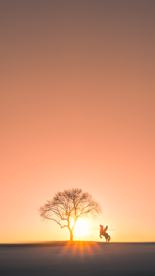 维尔·冯·威克：在紧张对抗中总能保持冷静，精准突破敌防，维克多冯华尔兹教学中文讲解