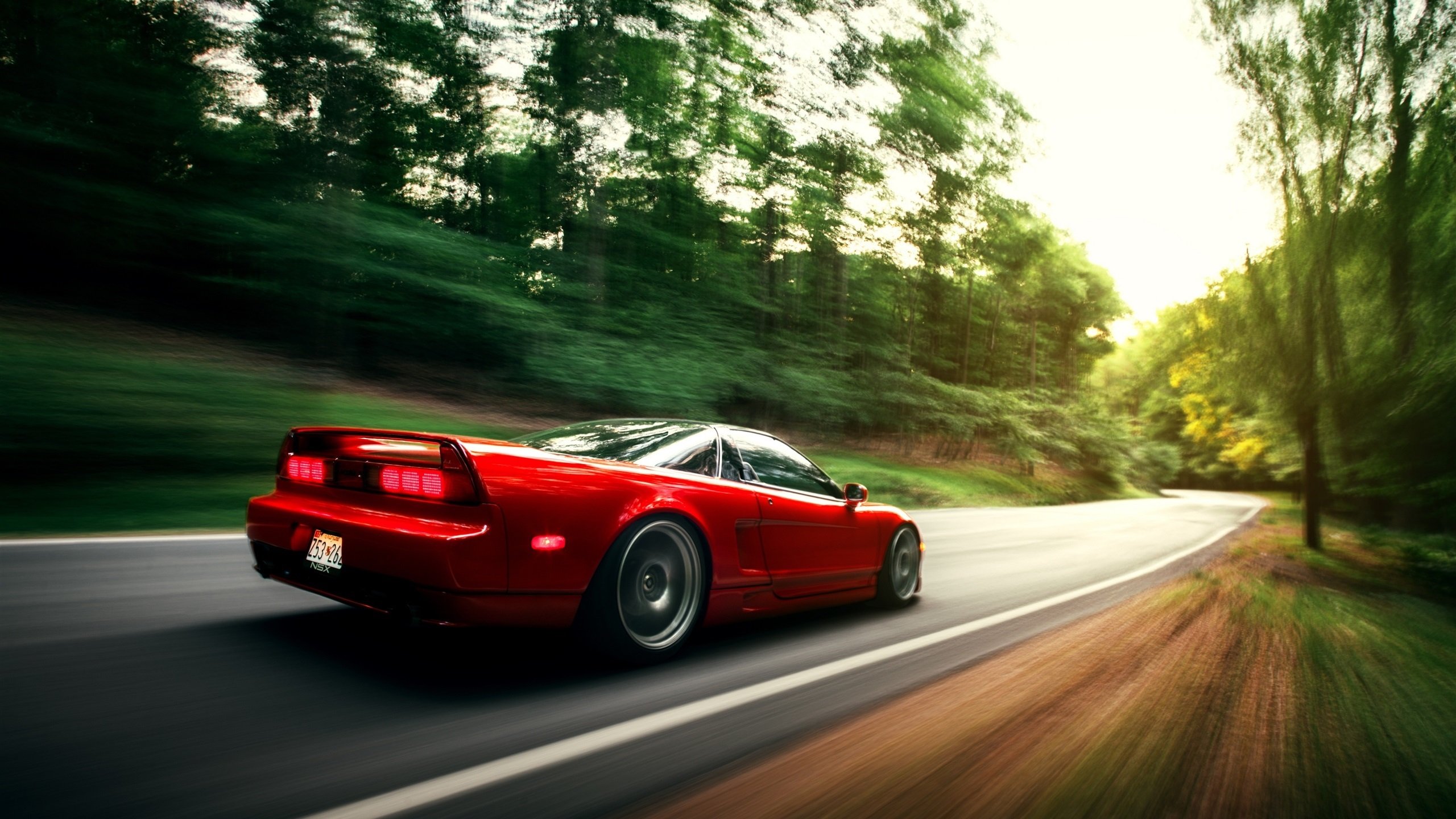 袋鼠队主力球员：唐纳德·高尔 (Donald Gaal)，ufc袋鼠