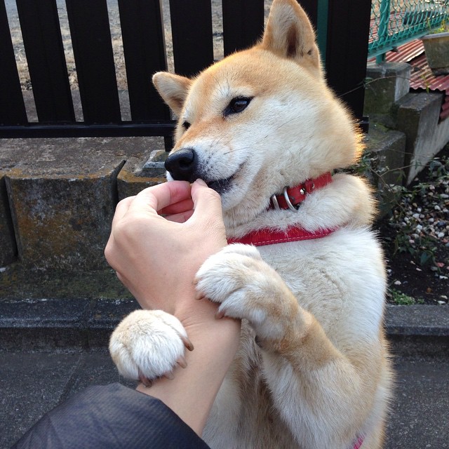 AYX GAME-足球赛事运营公司拓展海外市场，足球赛事营销策划方案