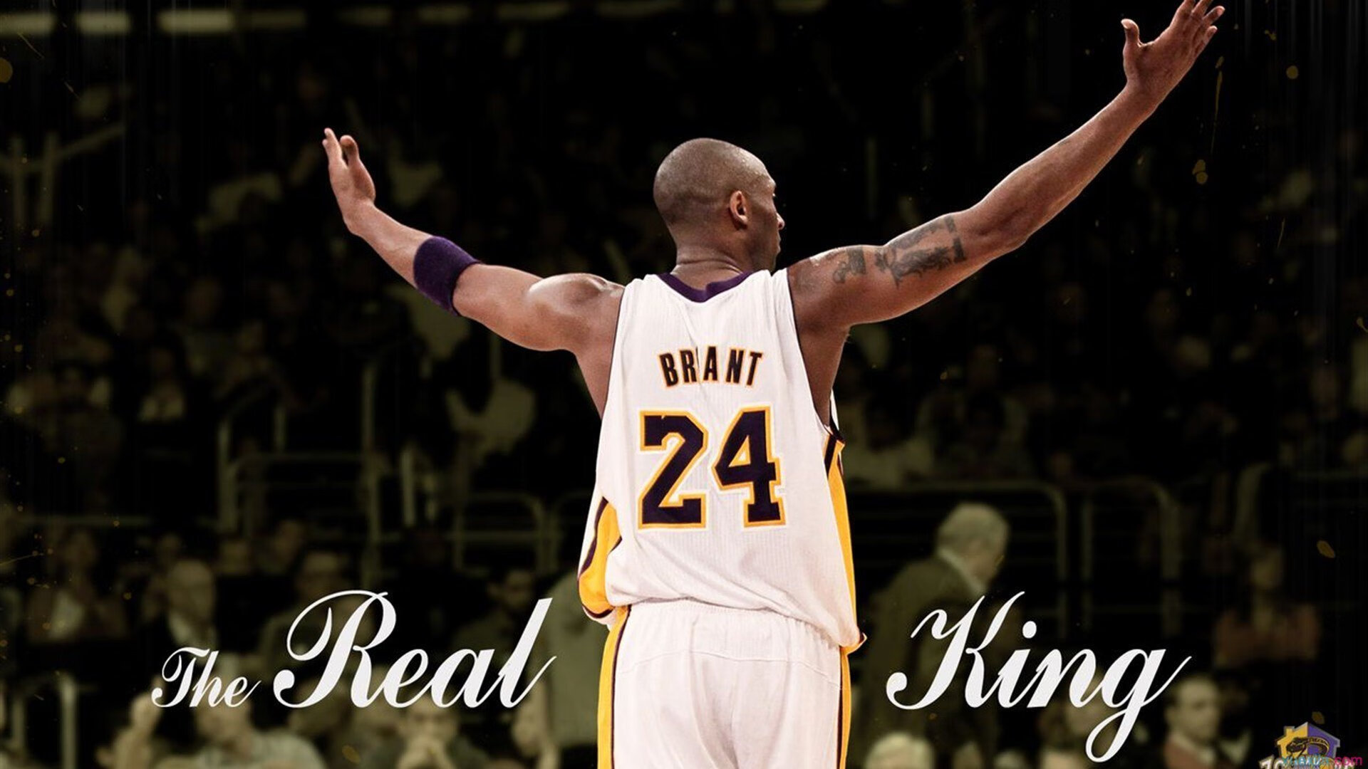 关键战术解析：防守体系的秘密，防守战术一般分为哪些内容